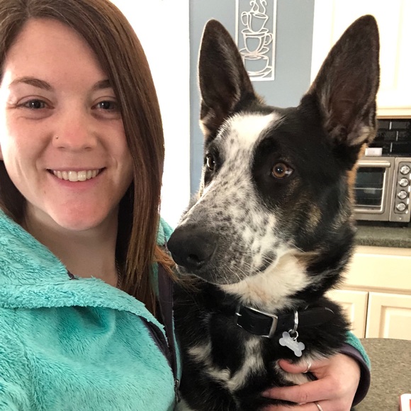 Meet your Posher, Sammie - Picture 5 of 5